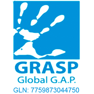graspv2-1